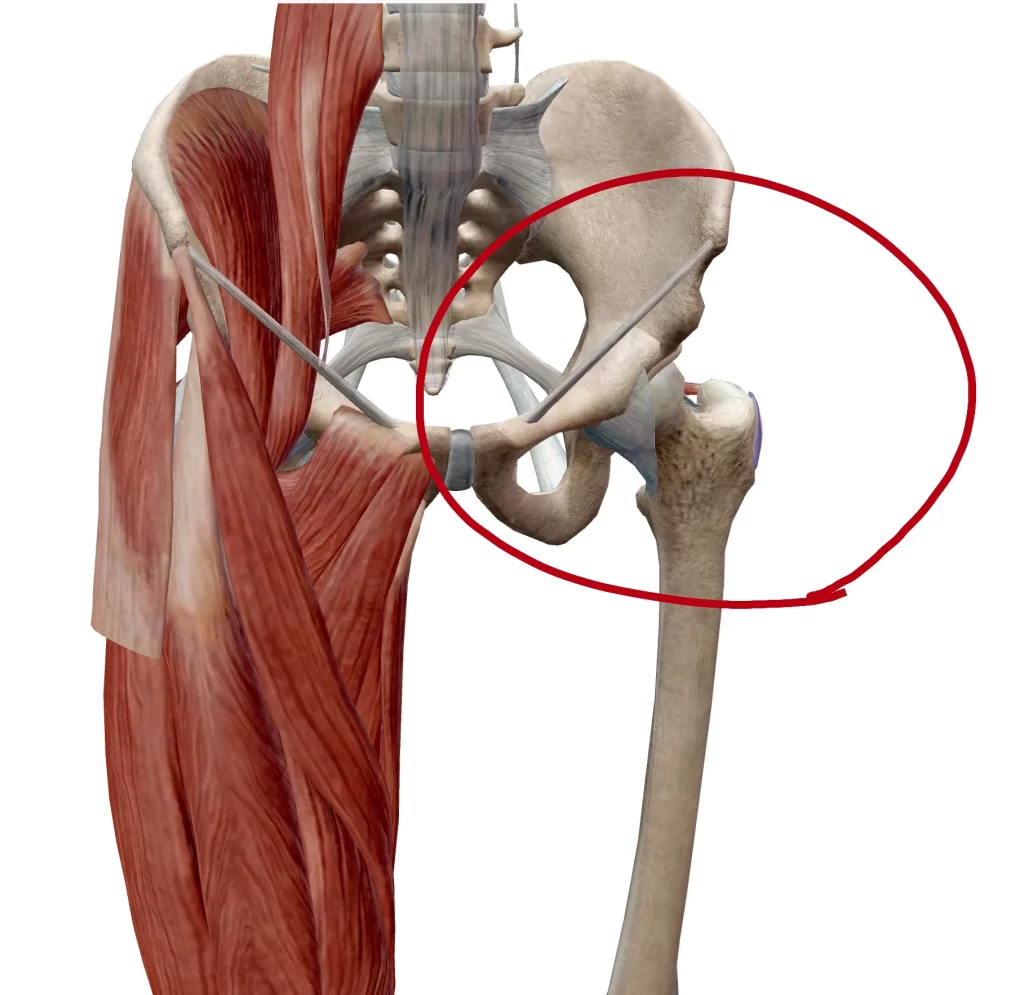 terakoya.wat51セミナー