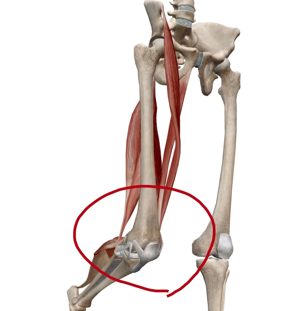 terakoya.wat51セミナー