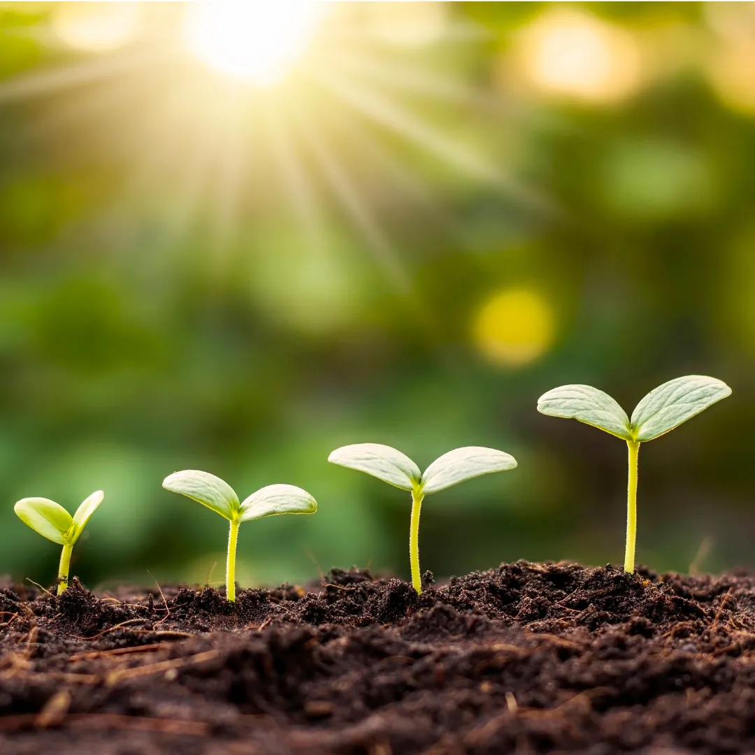 感謝と成長、そしてHSPケアという唯一無二の道へ