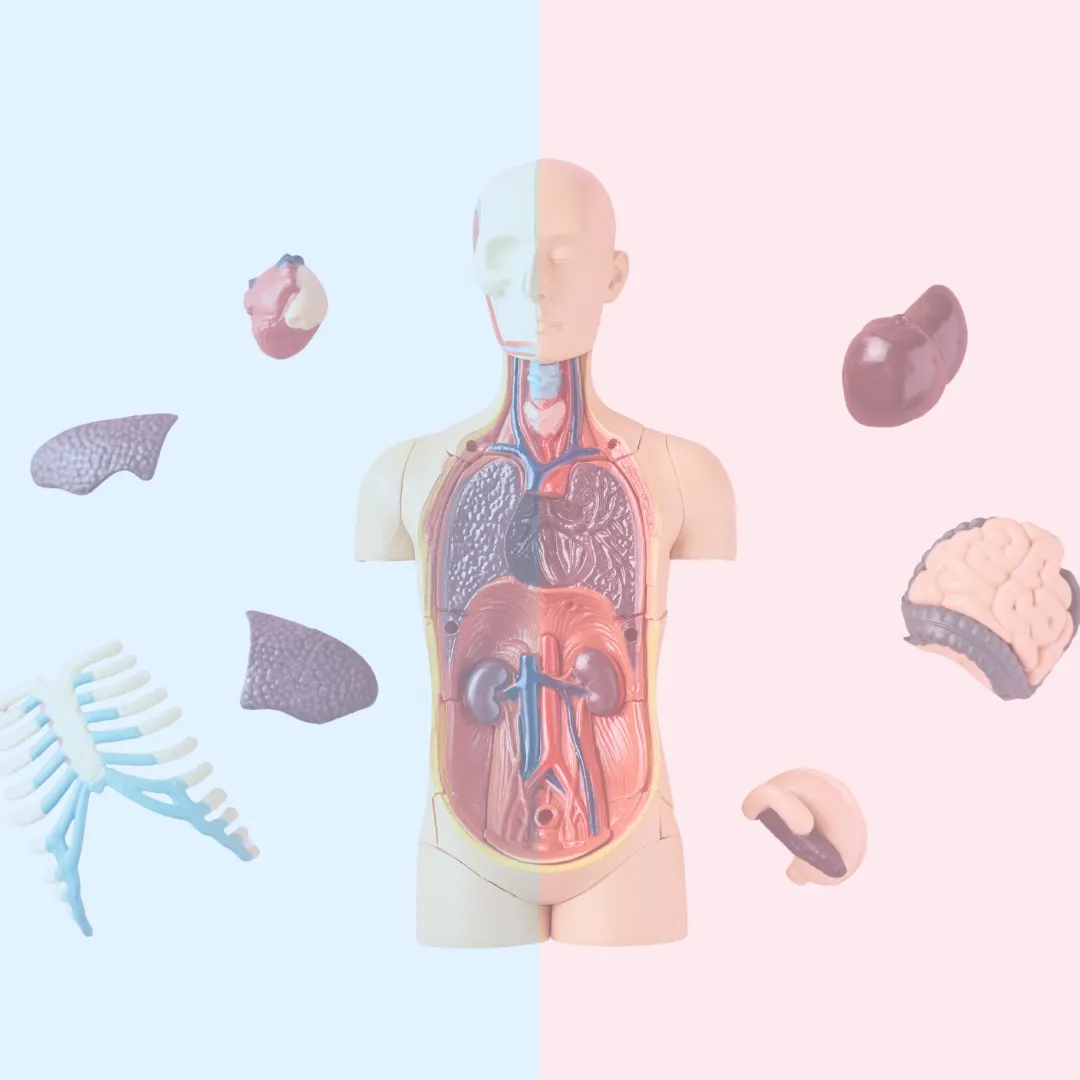 体調不良：西洋医学と東洋医学のあいだで見えること