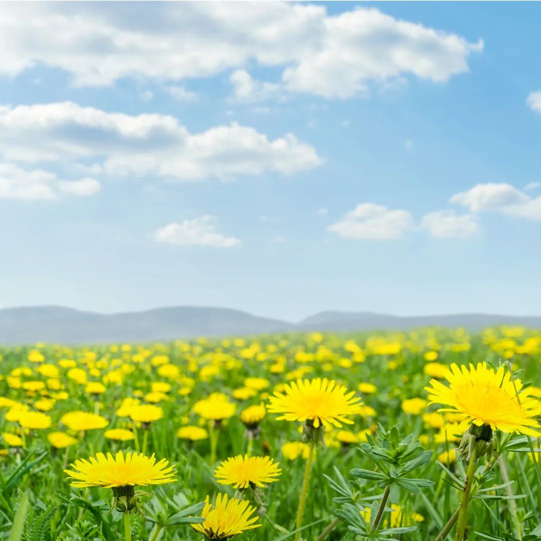 春は、なんかしんどい… それ、春バテ？五月病？