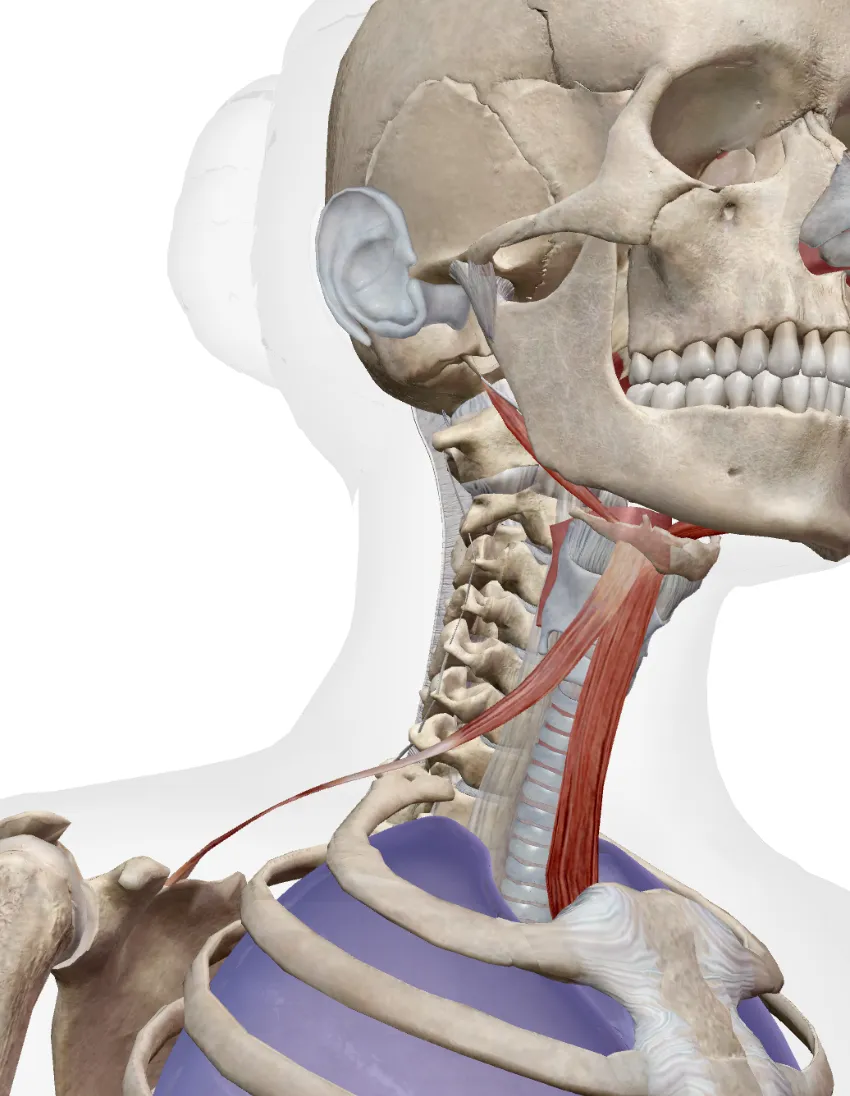 心がフワフワする時、体も迷子かもしれない＠terakoyaセミナー