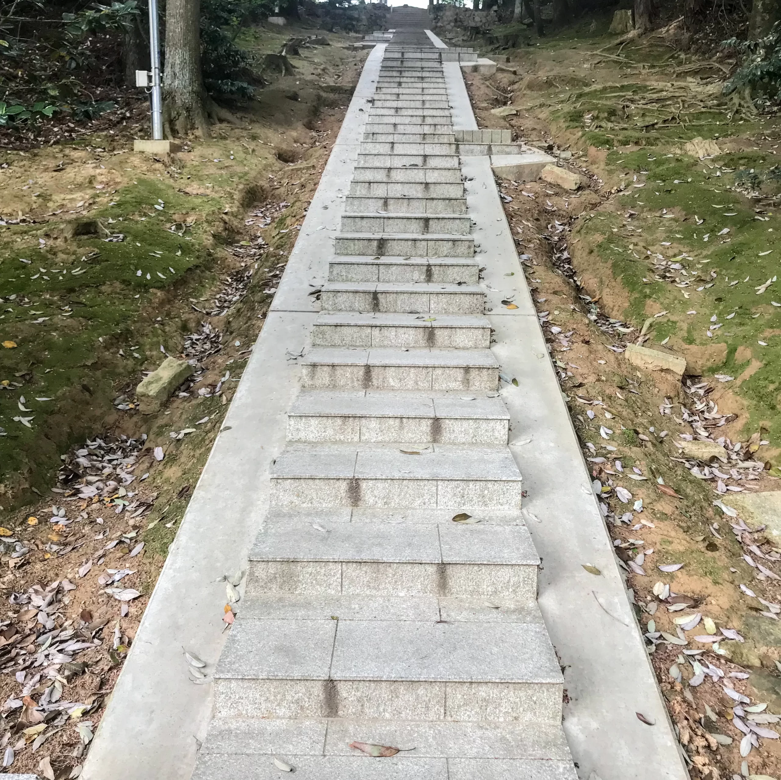 冬から春へ＠いただきもの