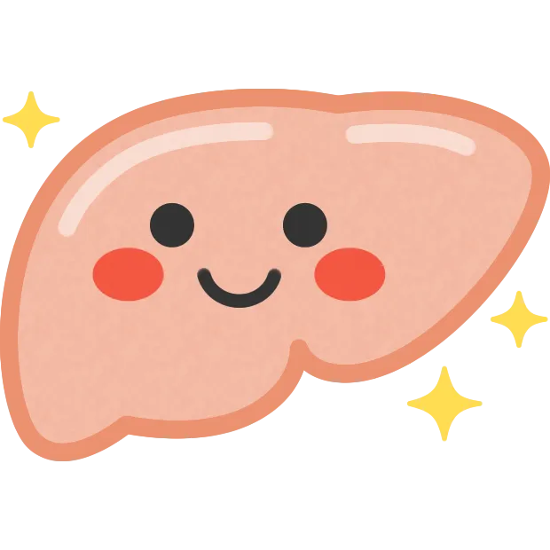 更年期とホルモンと肝臓と。