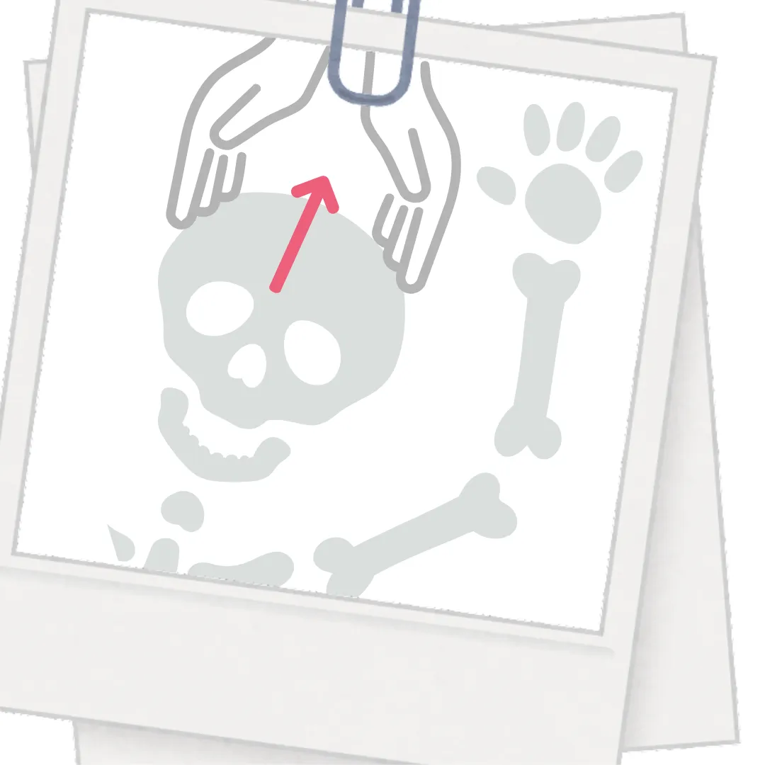 頭と首をとってほしい、とお願いされたお話