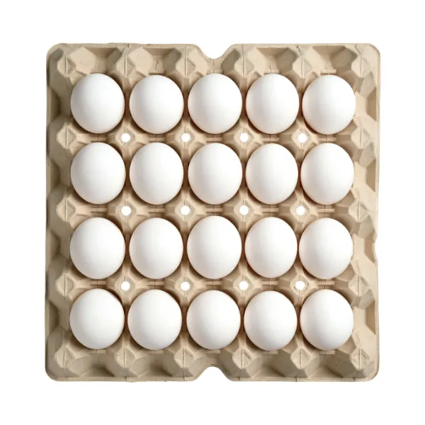 たまご鮮度の見分ける｜サバイバル術