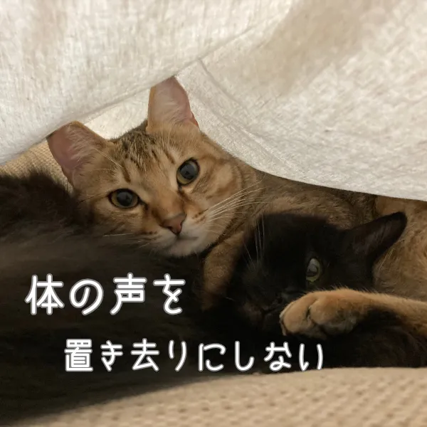 腰痛と手のしびれ｜体と一緒に見直した話